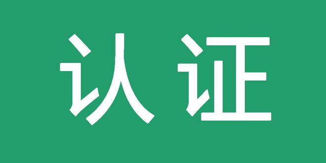 可视化蜘蛛池